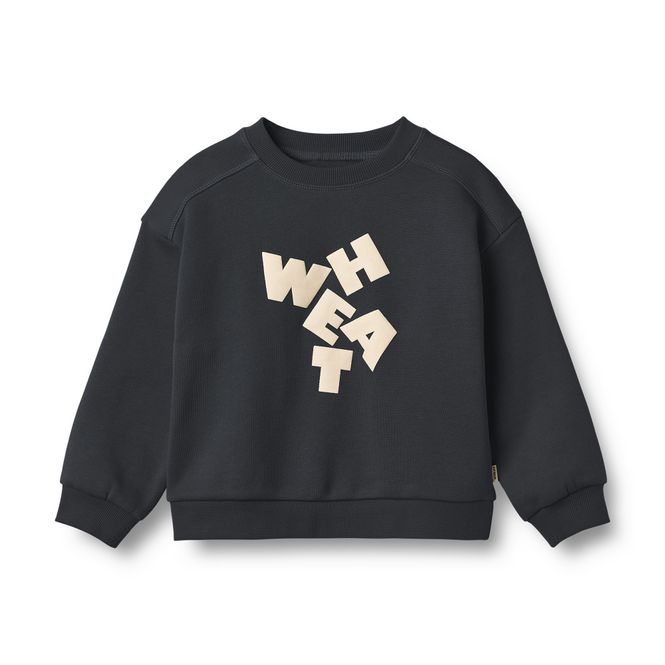 Hovedbilde Sweatshirt L/S FP Lennon